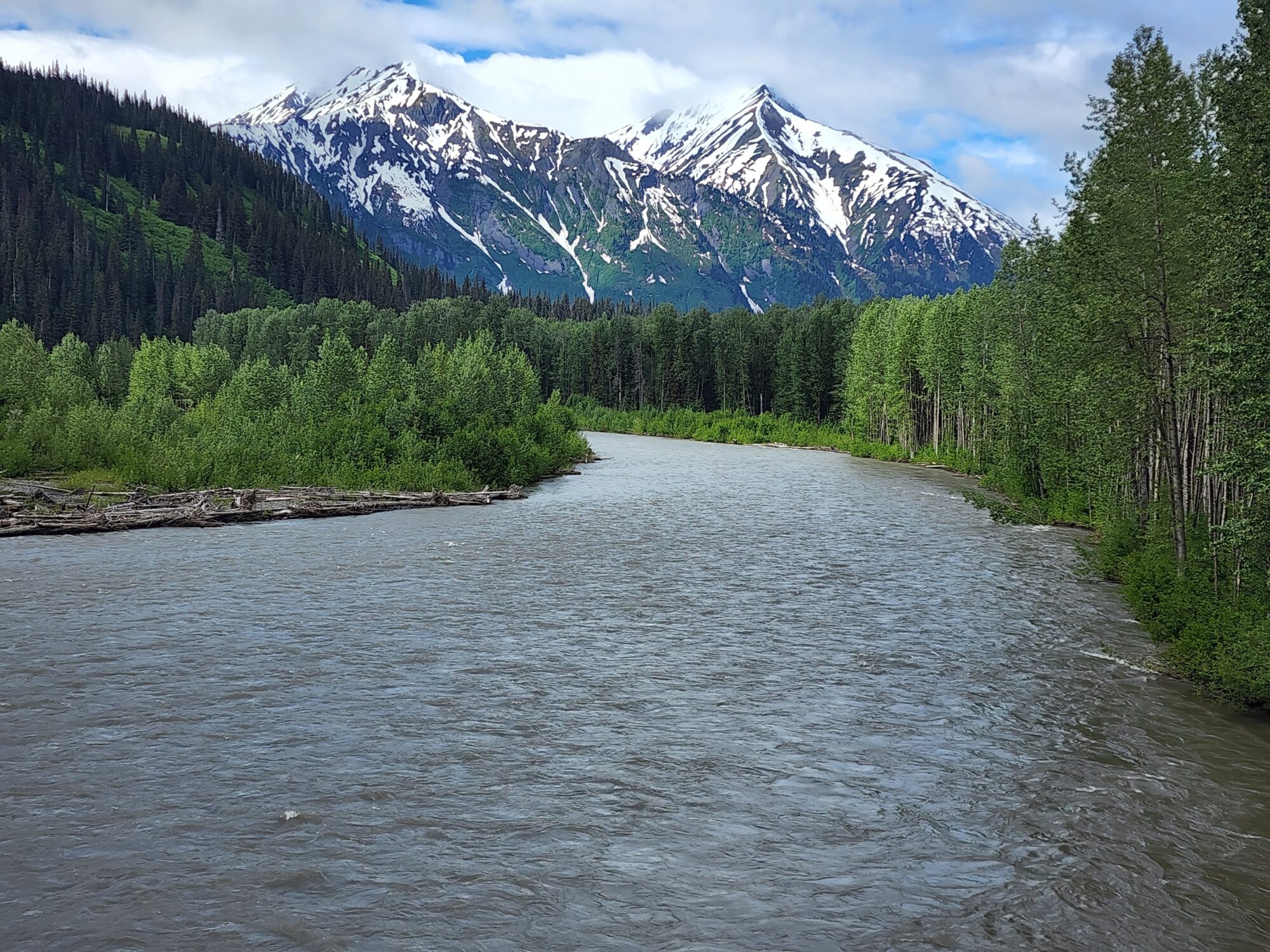 on the road to Dease Lake