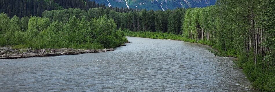 on the road to Dease Lake